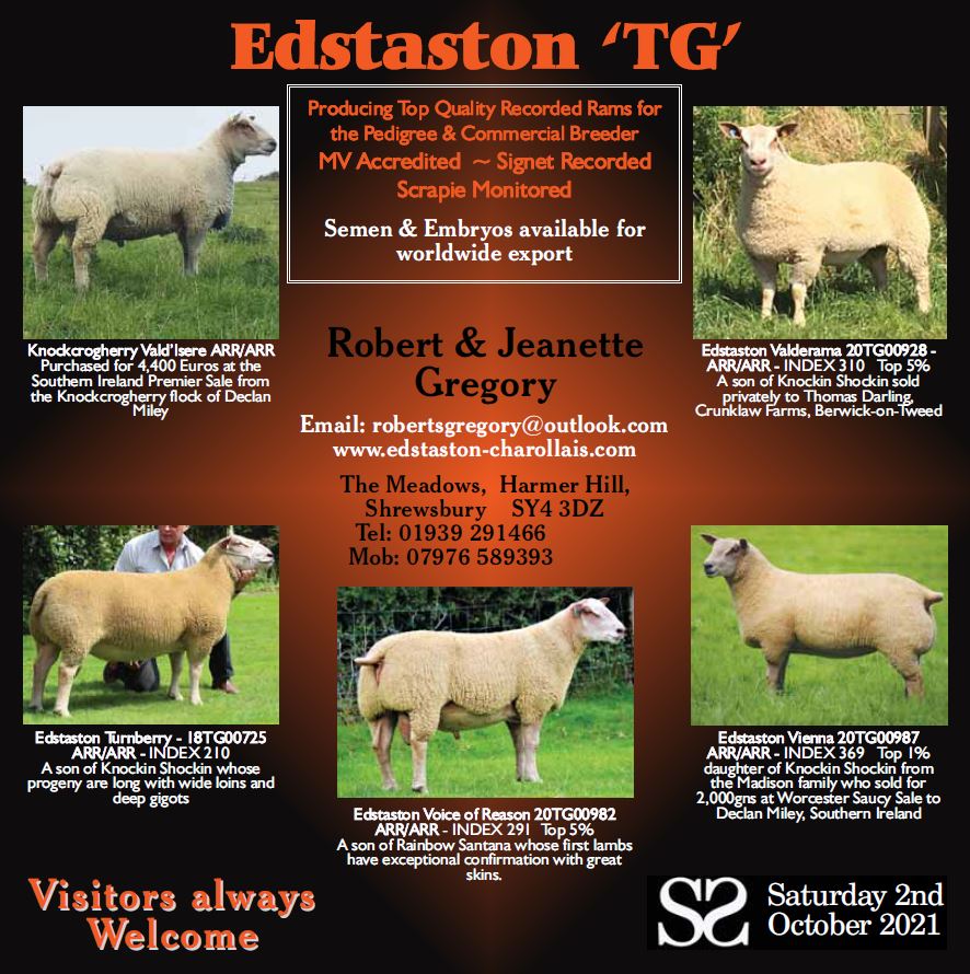 Yearbook Advert 2021 Yearbook Advert 2021